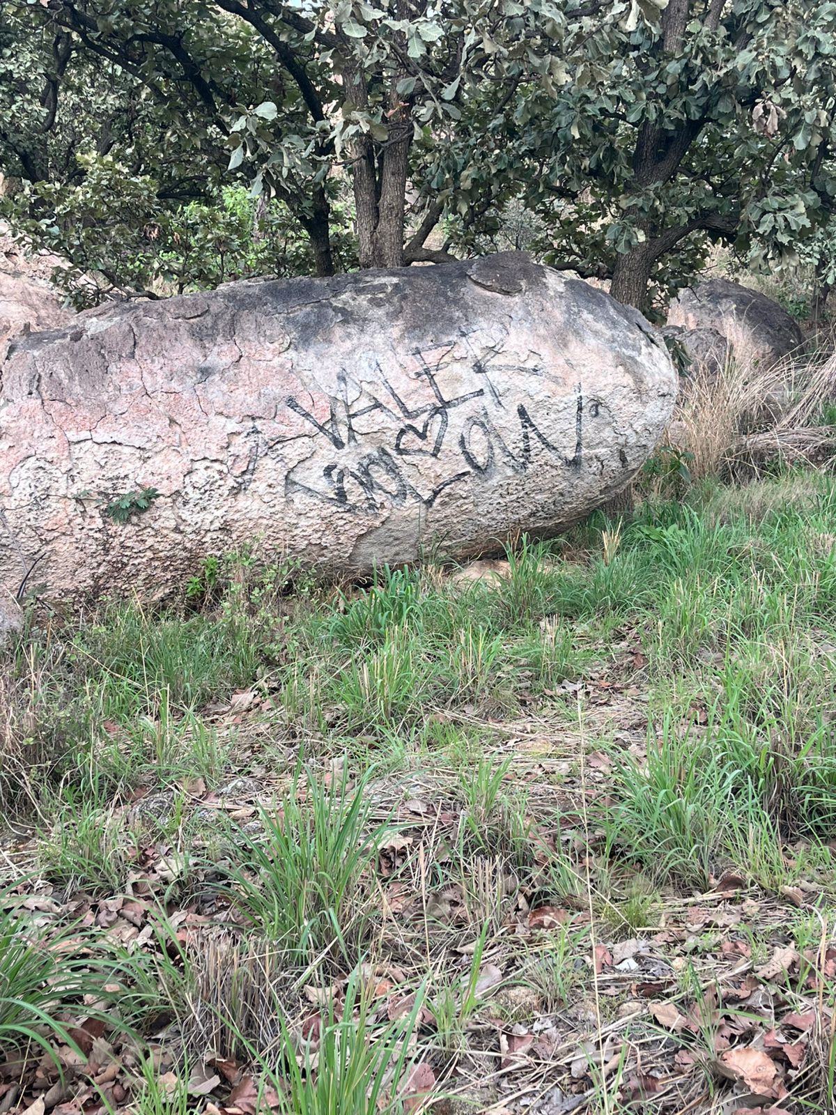 Boulder con graffiti dentro de El Diente